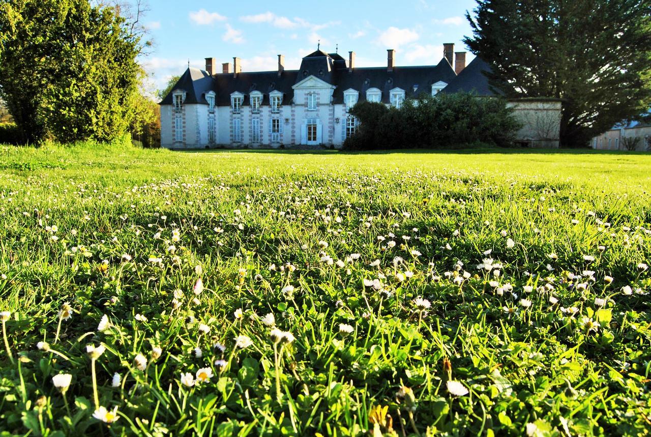 Chateau La Touanne Loire Valley Baccon Exterior foto