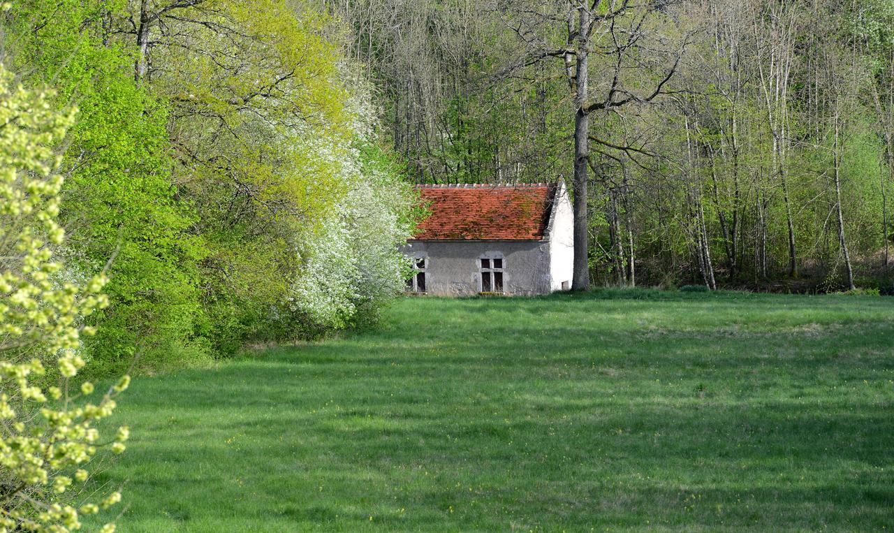 Chateau La Touanne Loire Valley Baccon Exterior foto